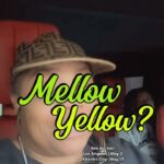 Patricia Williams Instagram - I know I’m getting old 🤦🏽‍♀️ And no I’m not wearing my wig everyday when I’m home 🤷🏾‍♀️😂 Do y’all still drink mellow yellow? #sodas #mellowyellow