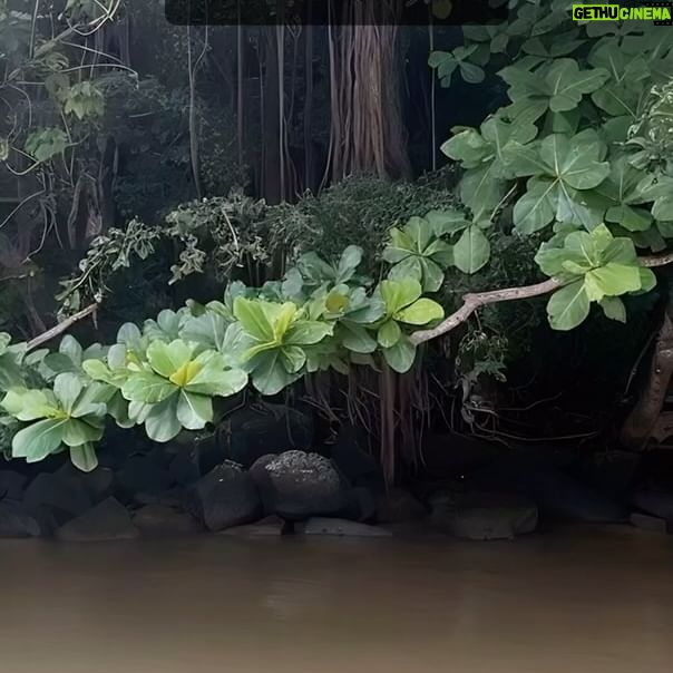 Patrisse Cullors Instagram - Abolitionist Meditations, Nature’s Embrace On this last day of #BlackFuturesMonth I offer a meditation to ground us in our collective strength and to be reminded of nature’s endurance. As we continue to witness the starving of human beings in Gaza. As we witness the depravity of human beings. As we witness the dehumanization of peoples. We must resist the urge to dehumanize. We have to be in a practice that is a reflection of what is possible. This meditation series is disrupting the algorithm and asking us all to sit with our grief, pain and suffering and transmute it into action, right action. Transmute it into courage and compassion and care. This isn’t about a lack of accountability. We must hold them all accountable for the atrocities. But we have to transmute the rage. I know this because I’ve had to do it over and over again. Sit with this meditation. And hold space for yourself, for the collective and all living beings. “Abolitionist Meditations” is an innovative meditation series developed by Patrisse Cullors, artist/abolitionist and co produced by Avriel Epps artist/scholar. This thought-provoking series uniquely combines elements of imagination, healing, and transformation. Cullors and Epps utilize meditative practices as a vehicle to promote a deeper understanding of abolitionist principles, fostering a mental and emotional shift towards a world that is centered in care. The series emphasizes self-awareness and introspection as tools for not only personal growth, but also for societal change, underlining the power of individual and collective healing in the pursuit of transformation. It encourages participants to imagine a world free from violence and harm and to actively work towards a vision, integrating transformative ideals into their daily lives.