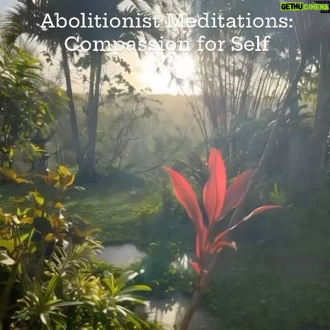 Patrisse Cullors Instagram - Abolitionist Meditations: Compassion For Self “Abolitionist Meditations” is an innovative meditation series developed by Patrisse Cullors, artist/abolitionist and co produced by Avriel Epps artist/scholar. This thought-provoking series uniquely combines elements of imagination, healing, and transformation. Cullors and Epps utilize meditative practices as a vehicle to promote a deeper understanding of abolitionist principles, fostering a mental and emotional shift towards a world that is centered in care. The series emphasizes self-awareness and introspection as tools for not only personal growth, but also for societal change, underlining the power of individual and collective healing in the pursuit of transformation. It encourages participants to imagine a world free from violence and harm and to actively work towards a vision, integrating transformative ideals into their daily lives. #abolitionistmeditations #meditation #lovingkindnessandcompassion #healing