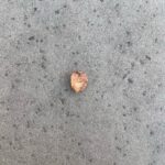 Patrisse Cullors Instagram - Thank you @edgar_three for being such a grounding mentor and believing in @calmatetupedo and I’s work. Today’s walk through discussion gave me more perspective. Gave me more agency, and reminded me that this work we are doing is a re - membering of what was and is. This is the final week of our show, Freedom Portals. Would love to have you. Best, Tree P.s. I love @alexandrealirezadorriz and @calmatetupedo so much. Thank you for seeing me.