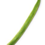 Patti Harrison Instagram - Green Bean (2023)