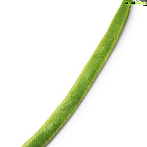 Patti Harrison Instagram - Green Bean (2023)