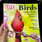Patti Harrison Instagram - STORY TIME: I wrote a caption that was too long for Instagram so I had to post screenshots of it in the photo carousel. This magazine cover is super special to me, as I have a close personal relationship & I want to explain why. Swipe to read more ❤️