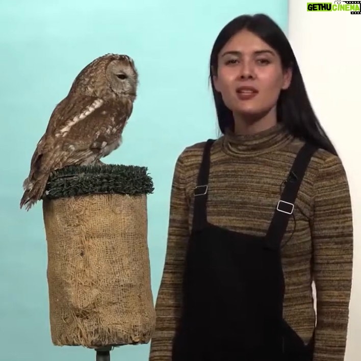 Patti Harrison Instagram - STORY TIME: I wrote a caption that was too long for Instagram so I had to post screenshots of it in the photo carousel. This magazine cover is super special to me, as I have a close personal relationship & I want to explain why. Swipe to read more ❤️