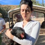Patti Harrison Instagram - Spent my birthday using my advanced reiki healing abilities on these beautiful rescue animals and accidentally making them all super sick with 5G poisoning 😿