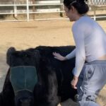 Patti Harrison Instagram - Spent my birthday using my advanced reiki healing abilities on these beautiful rescue animals and accidentally making them all super sick with 5G poisoning 😿
