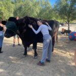 Patti Harrison Instagram - Spent my birthday using my advanced reiki healing abilities on these beautiful rescue animals and accidentally making them all super sick with 5G poisoning 😿