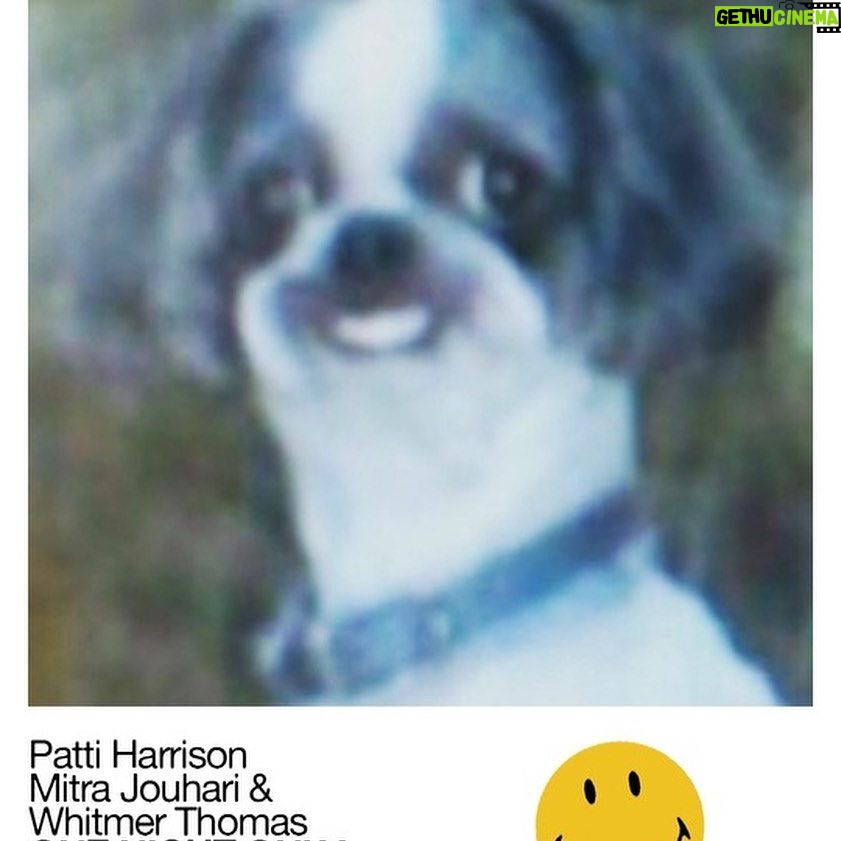 Patti Harrison Instagram - Mmmm. Fuck. 🫦It’s true. Mitra Jouhari, Whitmer Thomas, and myself are putting on a show at Largo .. mmmm. Fuck! 🫦 ow. Ticket link in my linktree. See you there, K? Fuck! Let’s rock this life