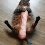 Patty Guggenheim