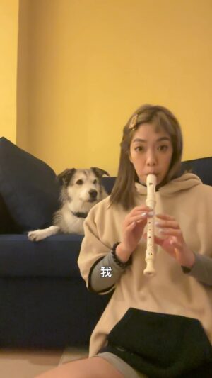 Patty Pei-Yu Lee Instagram - 《波之歌》唱了好運一整年!!! 新年快樂！
@famous_dog_bobo @joeyhairstyle 
#新年快樂
#終場離席
#傷的不是自尊是我的心
#龍年行大運