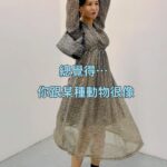 Patty Wu Instagram - . 看完很好看的音樂劇 她很興奮地跟我說 想學踢踏舞 然後跳起來 認真覺得我很會找對比影片🤪 #桑原夫婦 #桑原夫婦的日常 #akira_patty #跟某種動物很像