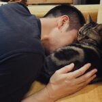 Patty Wu Instagram - ・ 2011/8/14-2024/1/17 世上最黏人最可愛最撒嬌的Joker，去當天使了。 從第一眼看到你，那個純真無害澄澈的眼神，直到最後一秒鐘，完全沒變，還是努力想咬爆肉泥，吃到最後。還是用雙手環住我的手，把自己捲成一坨毛球。 好幾次透過不同寵物溝通師，你都要說，謝謝馬麻那時候帶我回家，跟每個溝通師都說一次，有，我有收到，我才要說，謝謝你在我們身邊13年，我們很幸福。 13年前帶回來後醫院檢查，醫生說全身細菌感染嚴重，身體狀況很糟糕，如果沒有帶他來，可能沒多久就會死掉，才出生40天，手掌大小的貓咪，我跟日本男子覺得幸好，幸好，救回來了。 感染很嚴重，整個鼻子嘴巴很醜，像小丑一樣，我們說，那就叫他Joker吧。 明明是隻貓，卻像狗一樣黏人，跟前跟後，家裡椅子這麼多，偏偏要擠在我屁股後。睡覺覺得孤單，想盡辦法開房門。無論幾點回家，一定立刻衝到門口迎接。沙發上看電視，絕對要坐在中間，才能一下子黏爸爸，一下子黏媽媽，平均分配。霸佔鬼，有新箱子要先用，更愛霸佔小公主的箱子，小公主氣的。很愛吃，史上最愛吃，世上最愛吃，這一年看醫生開刀，每次都不忘跟陳醫師騙肉泥吃。 前兩天最後一次寵物溝通，問他想跟我說什麼嗎？他說，希望媽媽開心，不要常壓抑。跟爸爸呢？他說，希望爸爸讓媽媽開心。叫我不要哭，不要擔心他。 謝謝你，世上最可愛最貼心的貓，如果你回來了，一定要讓我們知道。爸爸媽媽，很愛很愛你。 おやすみ　 #JOKER #JokerMyCat