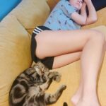 Patty Wu Instagram - ・ 2011/8/14-2024/1/17 世上最黏人最可愛最撒嬌的Joker，去當天使了。 從第一眼看到你，那個純真無害澄澈的眼神，直到最後一秒鐘，完全沒變，還是努力想咬爆肉泥，吃到最後。還是用雙手環住我的手，把自己捲成一坨毛球。 好幾次透過不同寵物溝通師，你都要說，謝謝馬麻那時候帶我回家，跟每個溝通師都說一次，有，我有收到，我才要說，謝謝你在我們身邊13年，我們很幸福。 13年前帶回來後醫院檢查，醫生說全身細菌感染嚴重，身體狀況很糟糕，如果沒有帶他來，可能沒多久就會死掉，才出生40天，手掌大小的貓咪，我跟日本男子覺得幸好，幸好，救回來了。 感染很嚴重，整個鼻子嘴巴很醜，像小丑一樣，我們說，那就叫他Joker吧。 明明是隻貓，卻像狗一樣黏人，跟前跟後，家裡椅子這麼多，偏偏要擠在我屁股後。睡覺覺得孤單，想盡辦法開房門。無論幾點回家，一定立刻衝到門口迎接。沙發上看電視，絕對要坐在中間，才能一下子黏爸爸，一下子黏媽媽，平均分配。霸佔鬼，有新箱子要先用，更愛霸佔小公主的箱子，小公主氣的。很愛吃，史上最愛吃，世上最愛吃，這一年看醫生開刀，每次都不忘跟陳醫師騙肉泥吃。 前兩天最後一次寵物溝通，問他想跟我說什麼嗎？他說，希望媽媽開心，不要常壓抑。跟爸爸呢？他說，希望爸爸讓媽媽開心。叫我不要哭，不要擔心他。 謝謝你，世上最可愛最貼心的貓，如果你回來了，一定要讓我們知道。爸爸媽媽，很愛很愛你。 おやすみ　 #JOKER #JokerMyCat