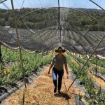 Paty Díaz Instagram - 💚🤎🤍💙 …Un buen café ☕️ …Un ratito en un gran recorrido por plantaciones de berries 😍 …Reír a carcajada con amigas que amas …Yo y mi propio reflejo… … Además de estar agradecida por tan Bellos momentos y grandiosas personas que la vida me regala 🙏🏼 Que tengan una bendecida tarde!!✨❤️ 🌧 #michoacan #santaclaradelcobre #patzcuaro #pueblomagico #rancho #berries #blueberry #gratitud #amor #amistad #mexico