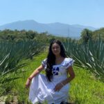 Paty Díaz Instagram - 🤍Saboreando Oaxaca💙 …Mientras… 🎬🎥🙏🏼 @nadiecomotu.tv #oaxaca #mexico #mezcal #agave #nadiecomotú #productor #producción #actriz #actrees #director #gion #libretos #gratitud #amor
