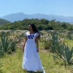 Paty Díaz Instagram - 🤍Saboreando Oaxaca💙 …Mientras… 🎬🎥🙏🏼 @nadiecomotu.tv #oaxaca #mexico #mezcal #agave #nadiecomotú #productor #producción #actriz #actrees #director #gion #libretos #gratitud #amor