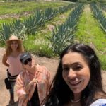 Paty Díaz Instagram - 🤍Saboreando Oaxaca💙 …Mientras… 🎬🎥🙏🏼 @nadiecomotu.tv #oaxaca #mexico #mezcal #agave #nadiecomotú #productor #producción #actriz #actrees #director #gion #libretos #gratitud #amor