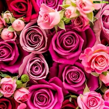 Paula Jai Parker - 146 Likes - These are for all of you 💖🫵🏽😘 #happyvalentinesday