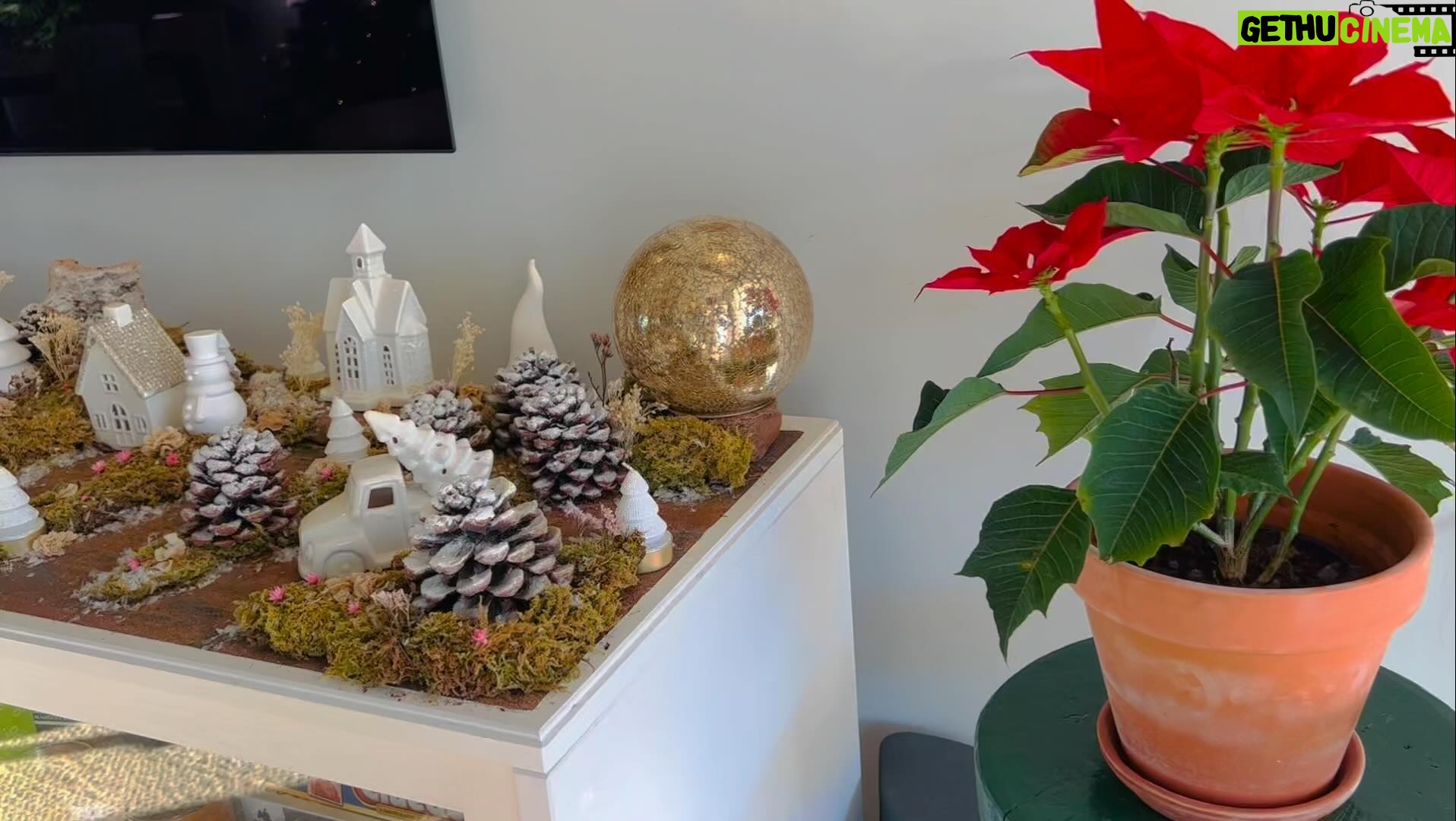 Paula Neves Instagram - Bosque de Natal montado :) #OPresépioCáDeCasa ❤️