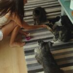Paula Neves Instagram - #tbt aqui está a prova que o Pablo já conviveu com gatos, mesmo que ele diga que não se lembra