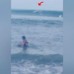 Paula Patton Instagram - First attempt at surfing - I’ll get up next time 😉 ...to be continued 🌊🤞🏽☀️