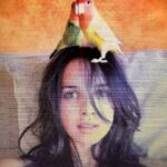 Paula Prendes Instagram - Madre de Agapornis 🦜🦜 @bythewillowtree 😉