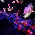 Paulina Chávez Instagram - meow wolf