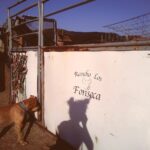 Paulina Chávez Instagram - f stands for…