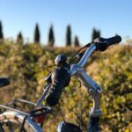 Pauline Bression Instagram - Octobre et Loire 🍁🚲🎈 . #laloireavelo #montgolfière #regiondefrance #merveilles #paysagedautomne #chateaudamboise #leonarddevinci