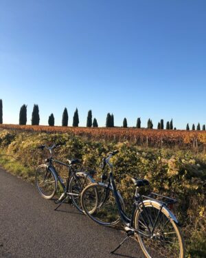 Pauline Bression Instagram - Octobre et Loire 🍁🚲🎈
.

#laloireavelo #montgolfière #regiondefrance #merveilles #paysagedautomne #chateaudamboise #leonarddevinci