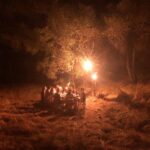 Pauline Chalamet Instagram - loups garous