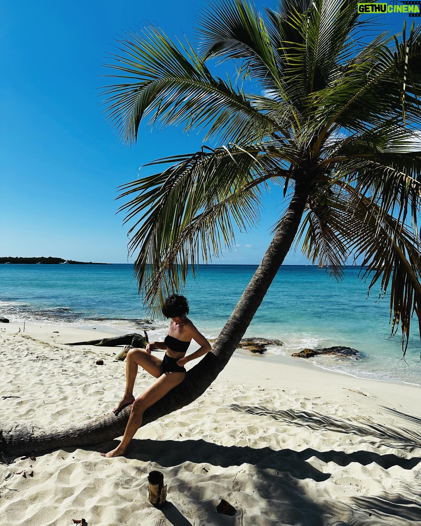 Paz Vega - 6.5K Likes - No lo pude evitar.. 😁🌴😂
#posandoqueesgerundio