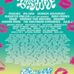 Peaches Instagram - NYC!!! ✨🌈 @bushwig • SEPT 7-8 The largest international drag, art, and music festival of love at @knockdowncenter ✨ 🎟️ on sale now at bushwig.com Art by @stefanfaehler