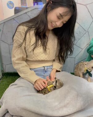 Pei-Pei Ho Instagram - 狐獴狠不受控，雖然牠們很愛發呆站立，
但⋯真的不好拍😮‍💨
超級活潑，活在自己世界！
可以這麼近距離互動，還是蠻有趣的，
而且服務親切，食物算不錯吃🤭
喜歡狐獴的寶蓓們可以去嘗試一下
回憶去找丁滿的前一天⋯
👱🏽‍♀️：我明天要去看狐獴耶！
👩🏼‍🦰：⋯我不明白你為什麼要花錢去看丁滿，澎澎怎麼辦？
👱🏽‍♀️：🙄我是獅子王嗎？到底⋯

#兔毛當然比較柔順 #兔子比較好拍 #金邦妮獲勝 #狐獴 #75度獴 #何蓓蓓 #daily #life #meerkat