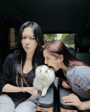 Pei-Pei Ho Instagram - 錯過寶劍的見面時光
只好帶金邦妮參加
@angelh1209 女神見面會🥰
#不可以吃兔兔 🤣
上一次見面，邦妮還弱小無智（知）😂
現在澎澎大大，無限感嘆吧❗️😓
還是記得女神氣場的吧？！見面的情緒很穩定
先留一堆毛在女神高級專車裡，讓她睹物思兔吧！
#金邦妮 #bunny #bunnylove #bunnyoftheday #bunniesofinstagram #何蓓蓓
