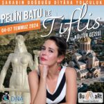 Pelin Batu