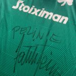 Pelin Öztekin Instagram - ☘️ #panathinaikos 🤍💚