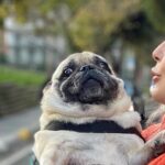 Pelin Öztekin Instagram - Güzel olan her şey sona saklanır. 😉😈 Sürpriz sonlu fotoşok 😅 @pugapticatcemil 🥰 Poncho: @mitosfreestylewears 🧡