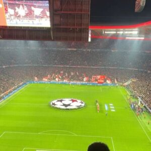 Pelin Öztekin Instagram - 🐣 Sonra dedim ki; İyi ki Galatasaray’lıyım bee 💛♥️🦁