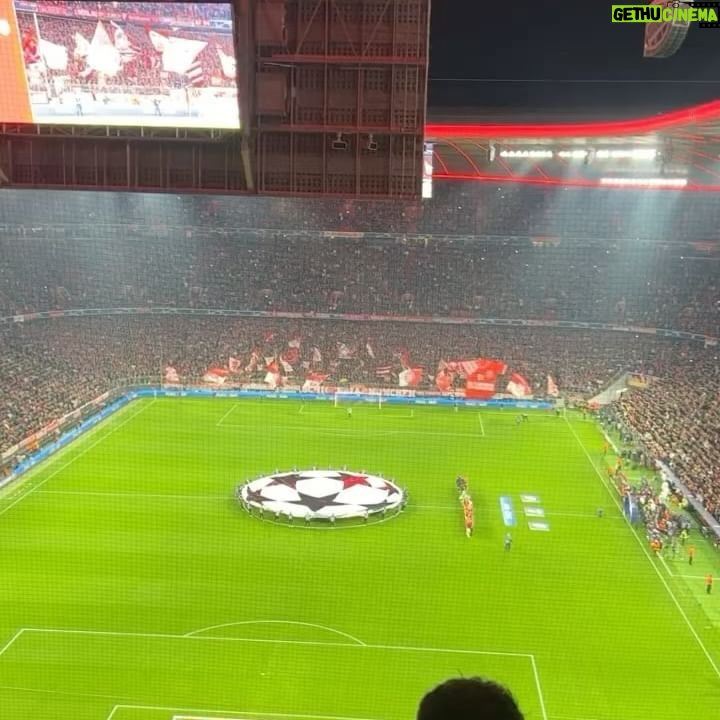Pelin Öztekin - 8.4K Likes - 🐣 Sonra dedim ki;
İyi ki Galatasaray’lıyım bee 💛♥️🦁