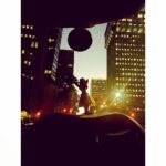 Perdita Weeks Instagram - She’s my tiki dancer