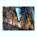 Perdita Weeks Instagram - Bridleway to heaven