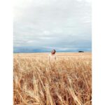 Perdita Weeks Instagram - Malted Perd