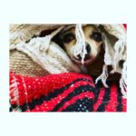 Perdita Weeks Instagram - Winter is coming