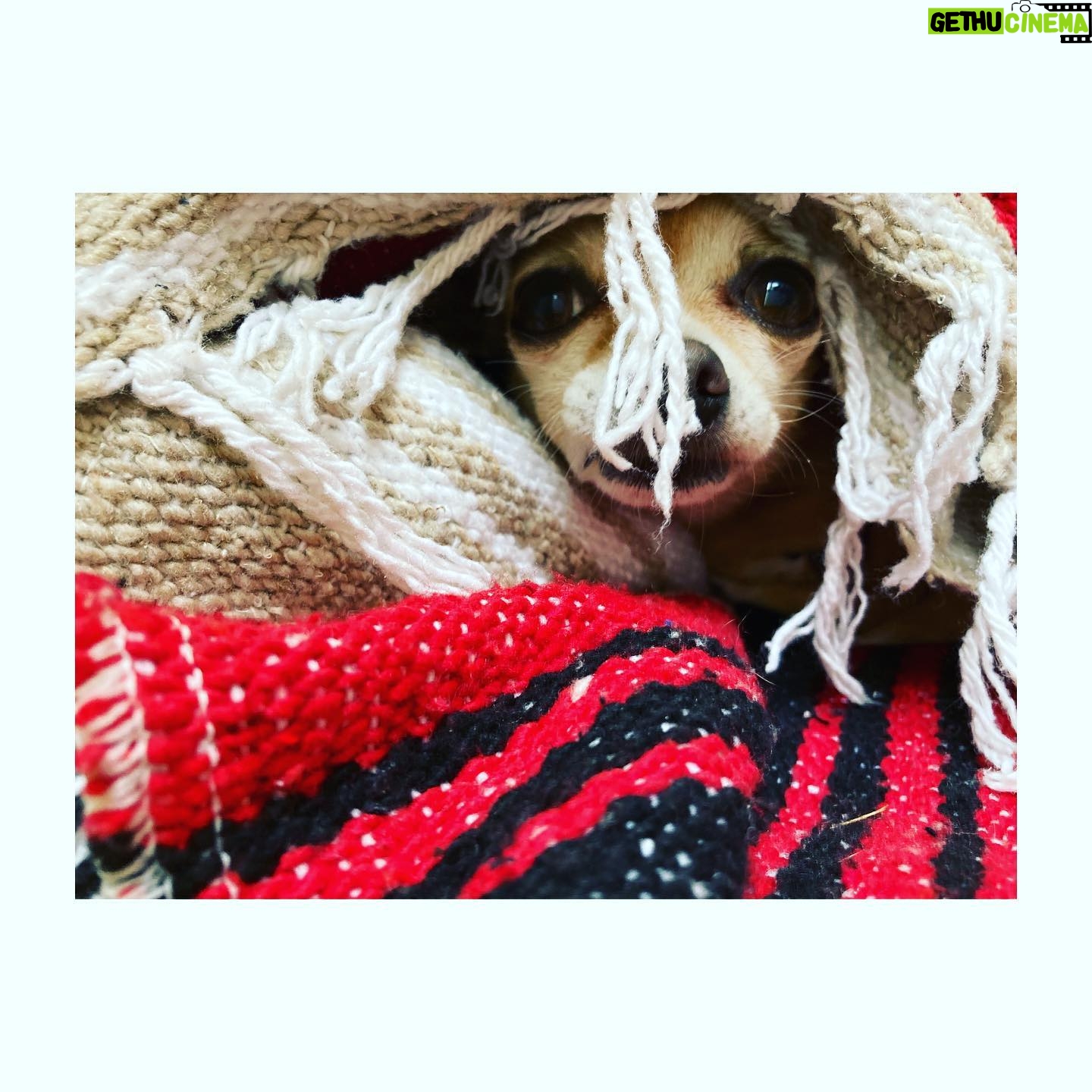 Perdita Weeks Instagram - Winter is coming
