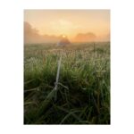 Perdita Weeks Instagram - I saw the sun rise