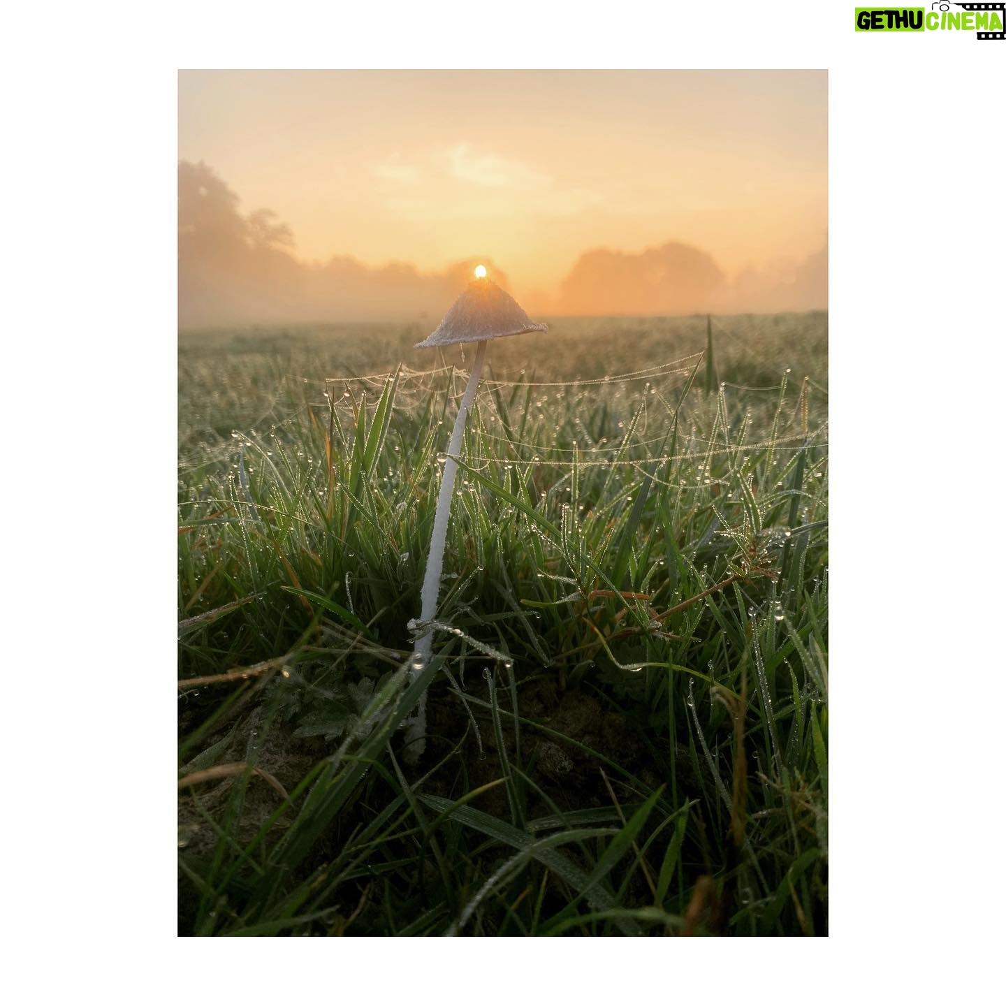 Perdita Weeks Instagram - I saw the sun rise