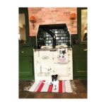 Perdita Weeks Instagram - Decorative pooch