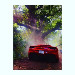 Perdita Weeks Instagram - Making tracks