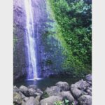 Perdita Weeks Instagram - Never met a waterfall I didn’t like